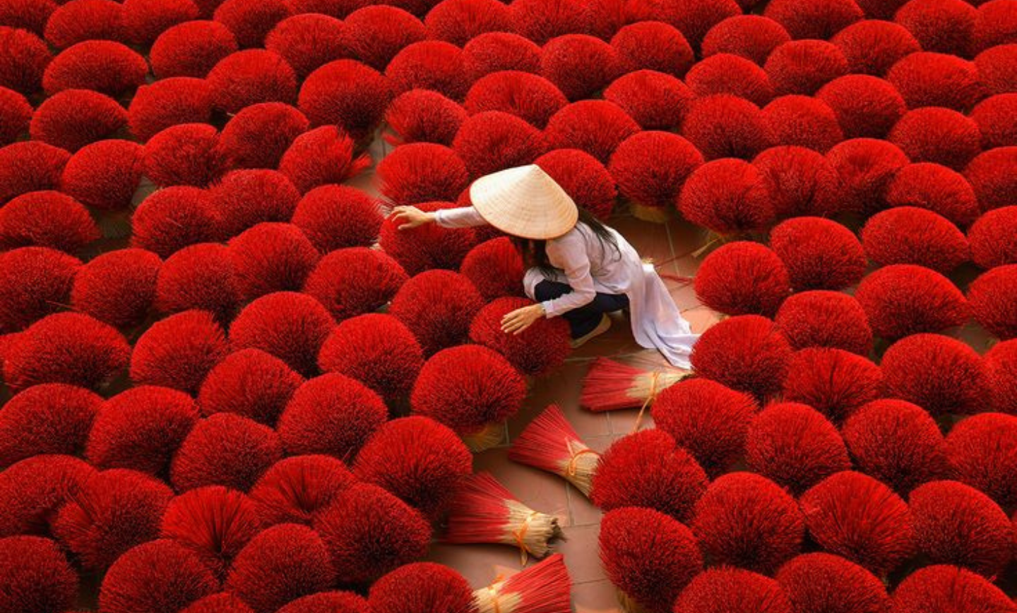 Hello Vietnam!